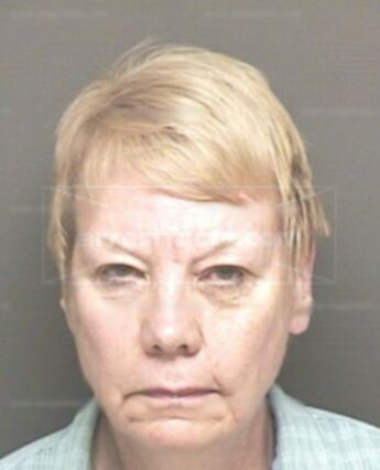 Susan L Falk