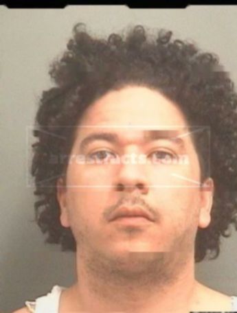 Robert Toro Iii