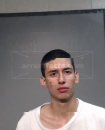 Alexis Javier Salas