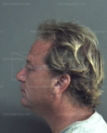 Robert Lisle Williams