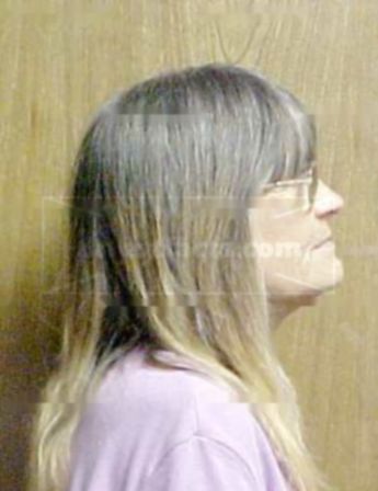Sherri L Burroughs