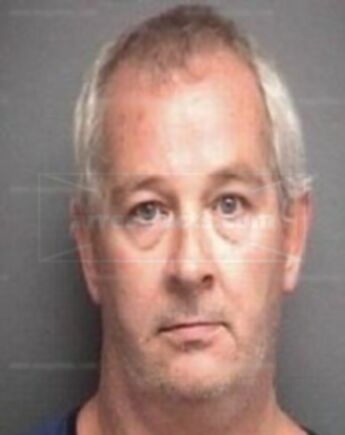 Timothy P Hayes