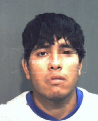 Michael Javier Loomis