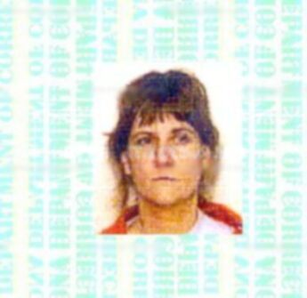 Michell J Allsup