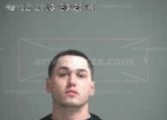 Nicholas M Perkins
