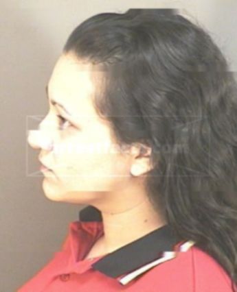 Michelle Diane Miller