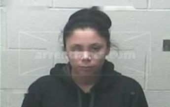 Leslie Ann Menz