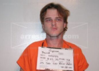 David Lee Gipson