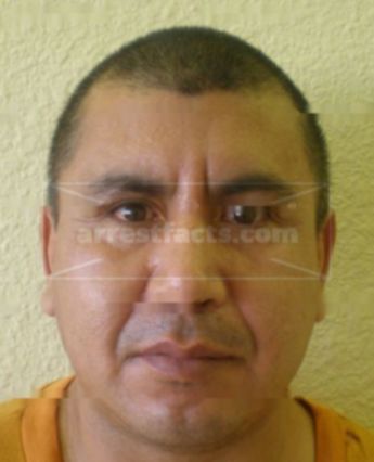 Polo Vargas