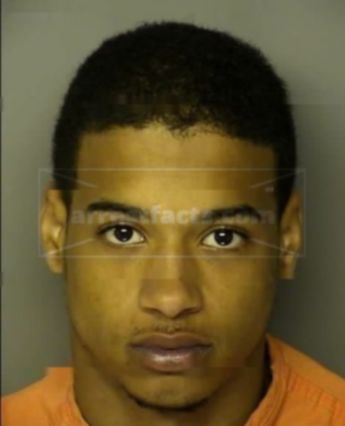 Robert Alan Williams