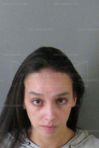Brittany Nicole Mauney