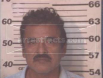 Raul Garcia Flores