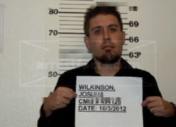 Joshua Lee Wilkinson