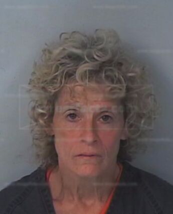 Patricia Ranucci Dickensheet
