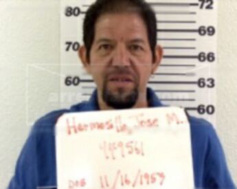 Jose Manuel Hermosillo
