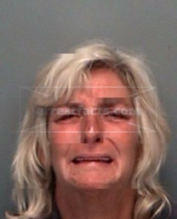 Anita Lynnette Swick Hayes