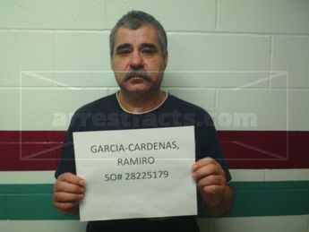 Ramiro Garcia-Cardenas