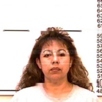 Isabel Cruz Villegas