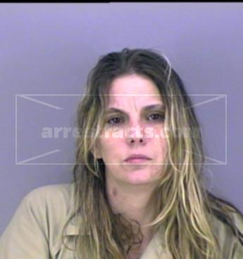 Cynthia L Bristow