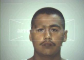Mercedes Martin Davila