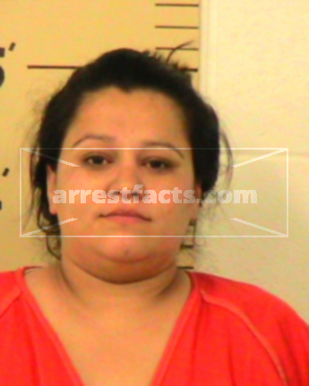Crystal Diane Castillo