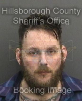 David Reed Johnson