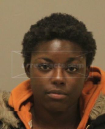 Janelle Diane Williams