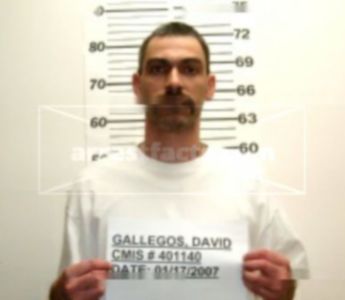 David Anthony Gallegos