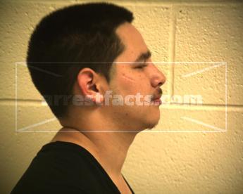 Michael Arnulfo Herrera Canales