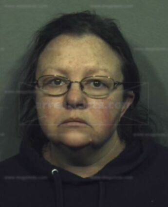 Brenda Louise Jenkins