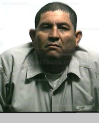 Alferado Hernandez