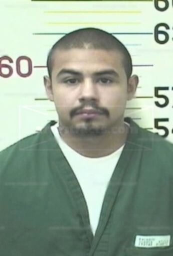 Joshua J Pacheco