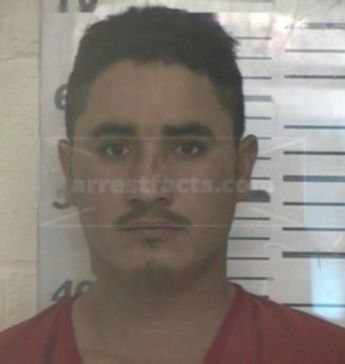 Guadalupe Gonzales