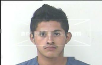 Merlin Ariel Enamorado Diaz