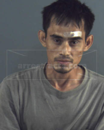 Hai Tuan Dang