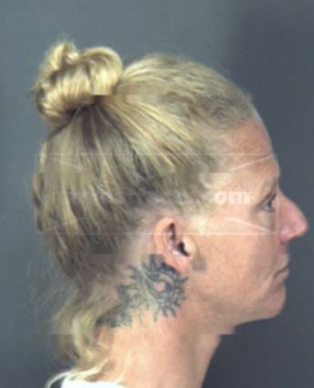 Linda Dianne Segers-Meier