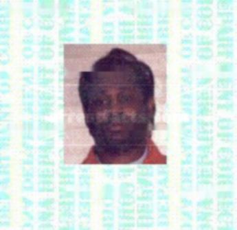 Orlando L Davis