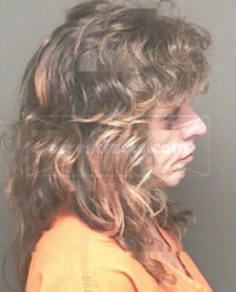 Deanna Cook