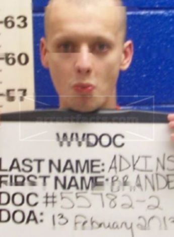 Branden S Adkins