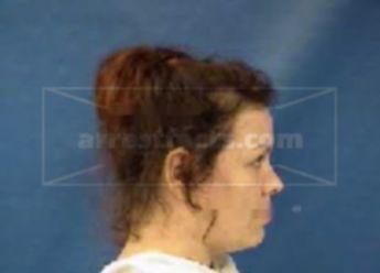 Carol Diane Huffstetler