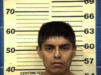 Felipe Ochoa Roman