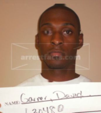 David Demon Garner