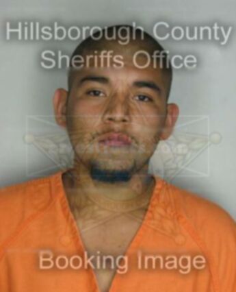 Francisco Hernandez Jr.