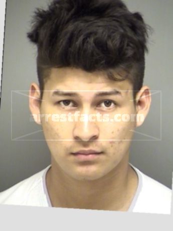 Kristian Mitchell Alarcon