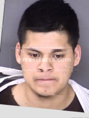 Nelson Arreola