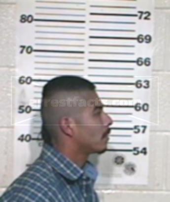Jose Luis Ibarra