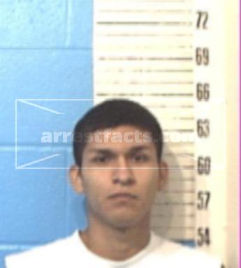 David Alaniz