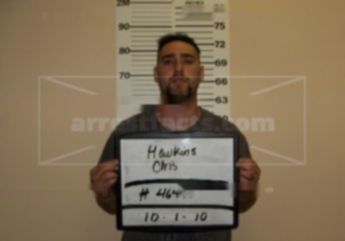 Chris M Hawkins