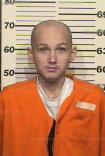 Cole T Wilson