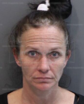 Theresa Lynn Parker